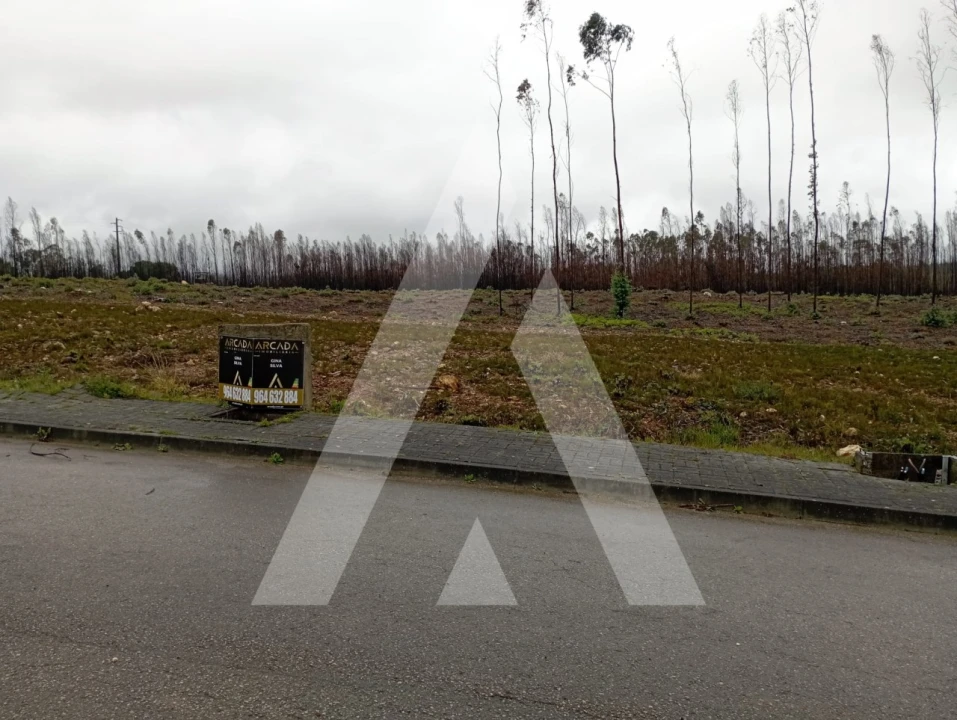 Terreno para Venda em Valongo do Vouga Foto 2
