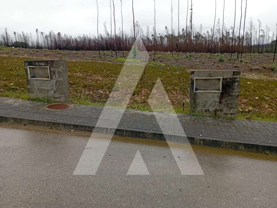 Terreno para Venda em Valongo do Vouga Foto 3