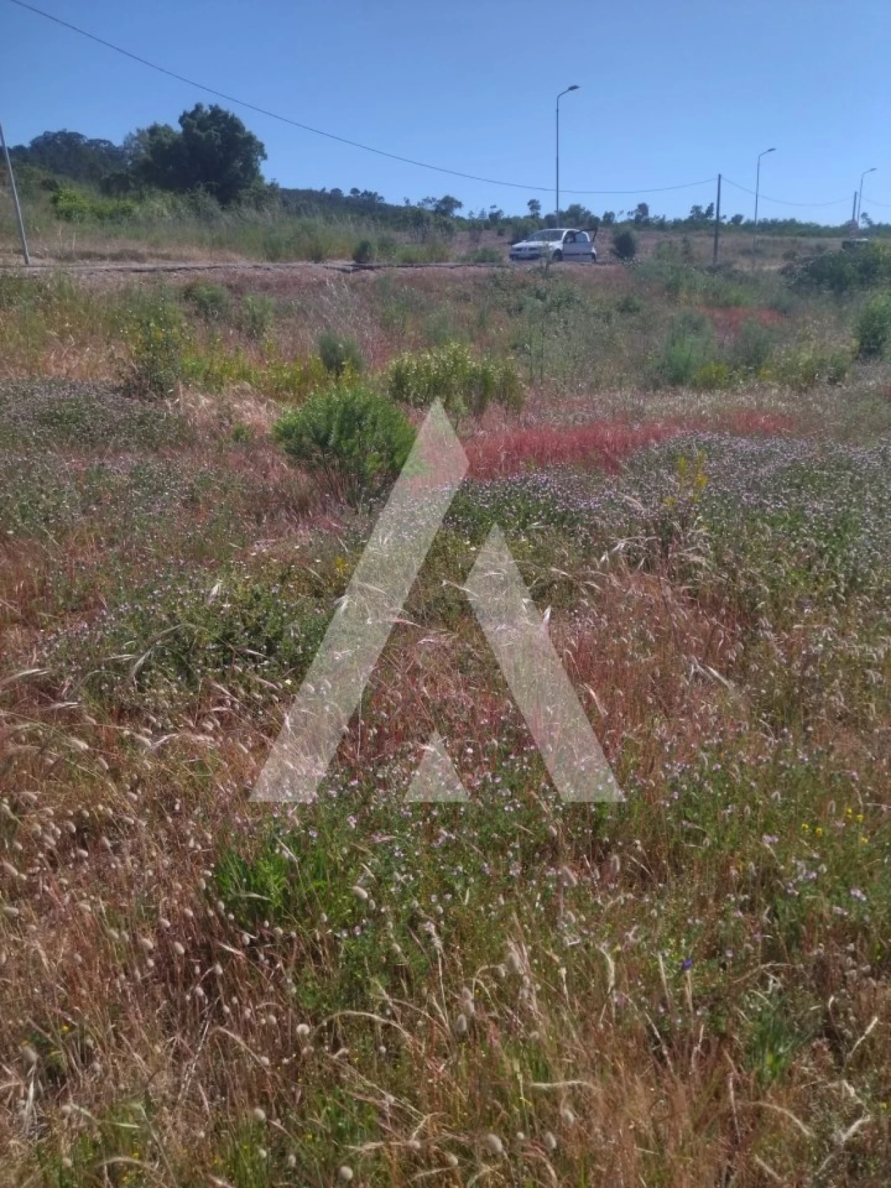 Terreno para Venda em Darque Foto 1