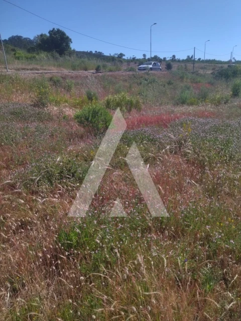 Terreno para Venda em Darque