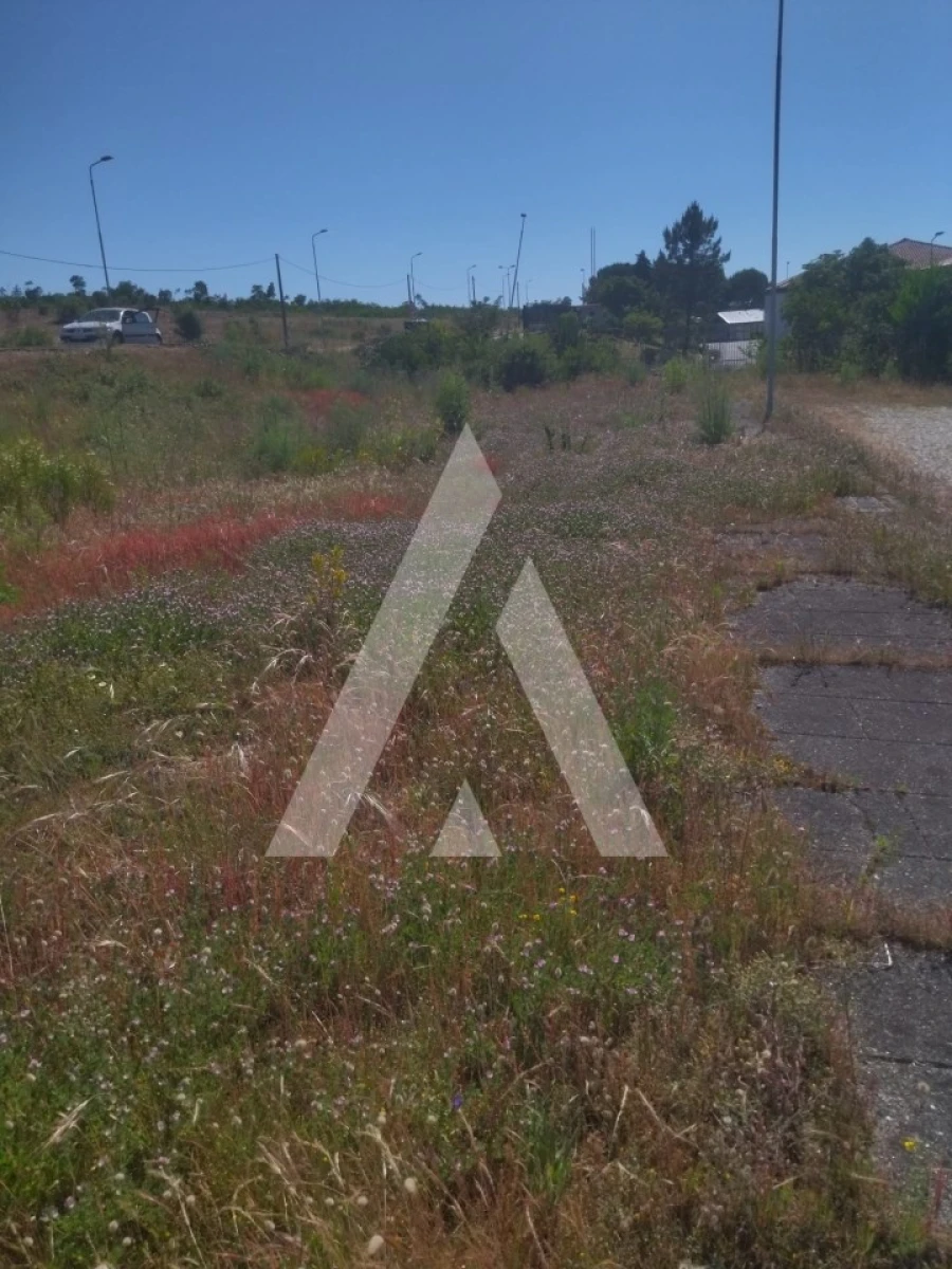 Terreno para Venda em Darque Foto 3