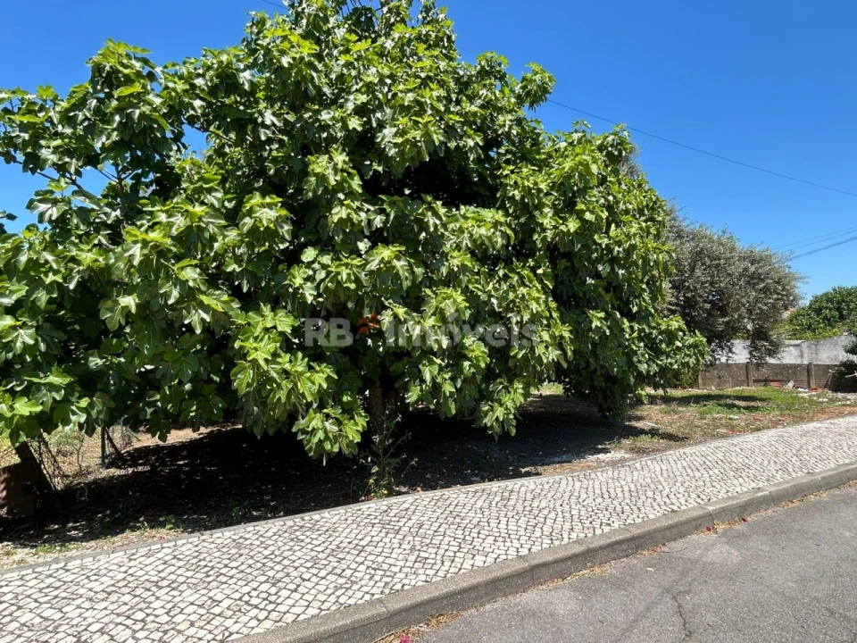 Terreno para Venda em Nossa Sra de Fatima Foto 5