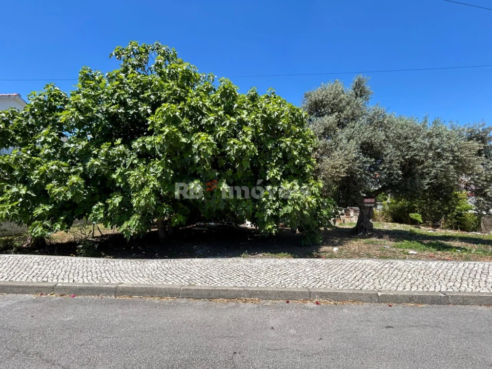 Terreno para Venda em Nossa Sra de Fatima Foto 3