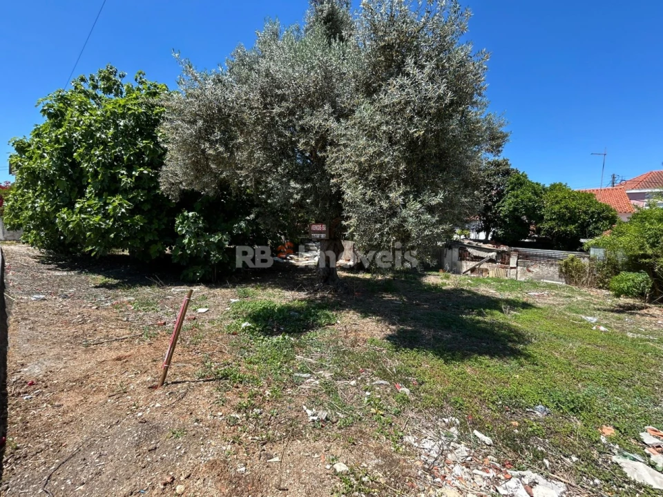 Terreno para Venda em Nossa Sra de Fatima Foto 2