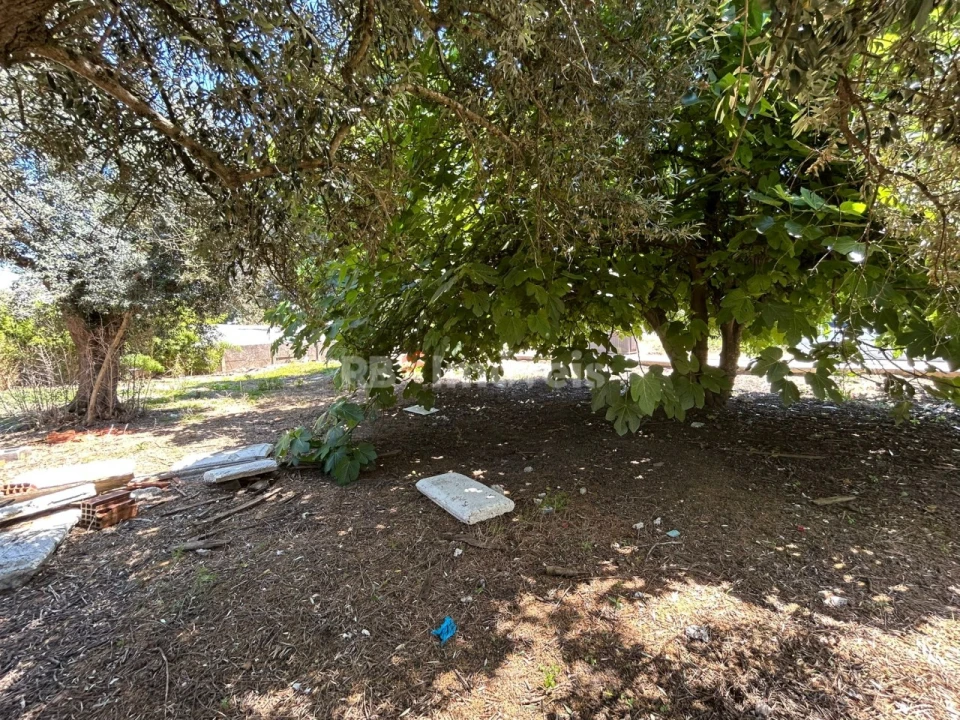 Terreno para Venda em Nossa Sra de Fatima Foto 4