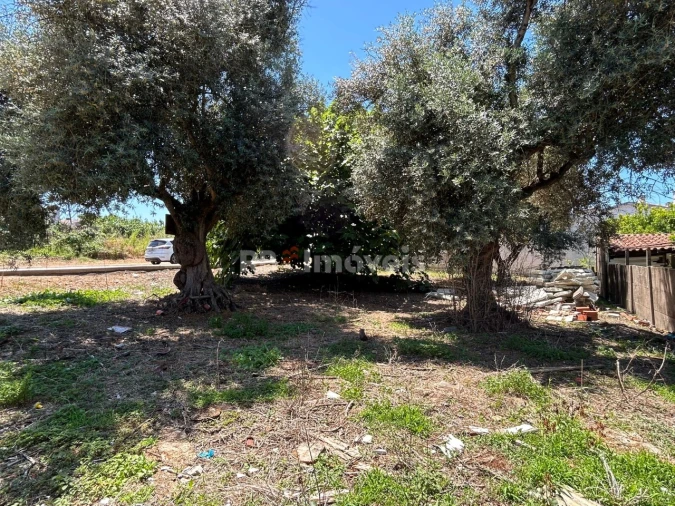 Terreno para Venda em Nossa Sra de Fatima Foto 6