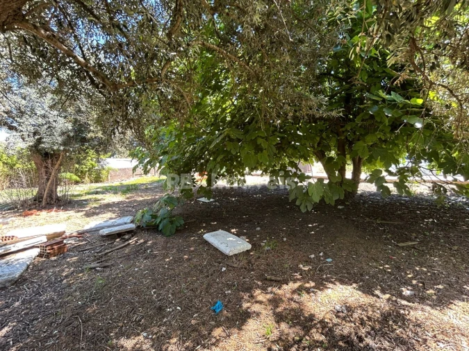 Terreno para Venda em Nossa Sra de Fatima Foto 4