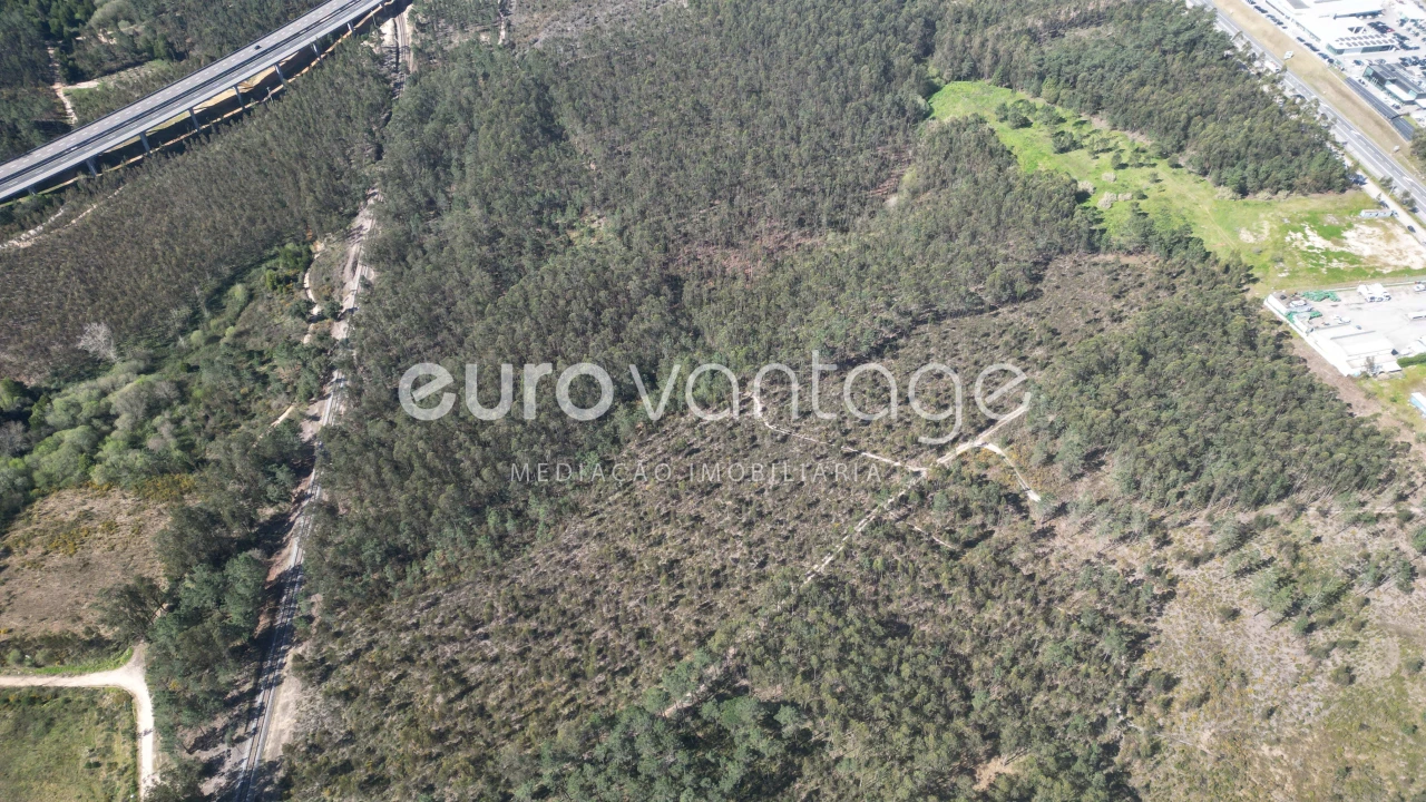 Terreno para Venda em Marrazes e Barosa Foto 6