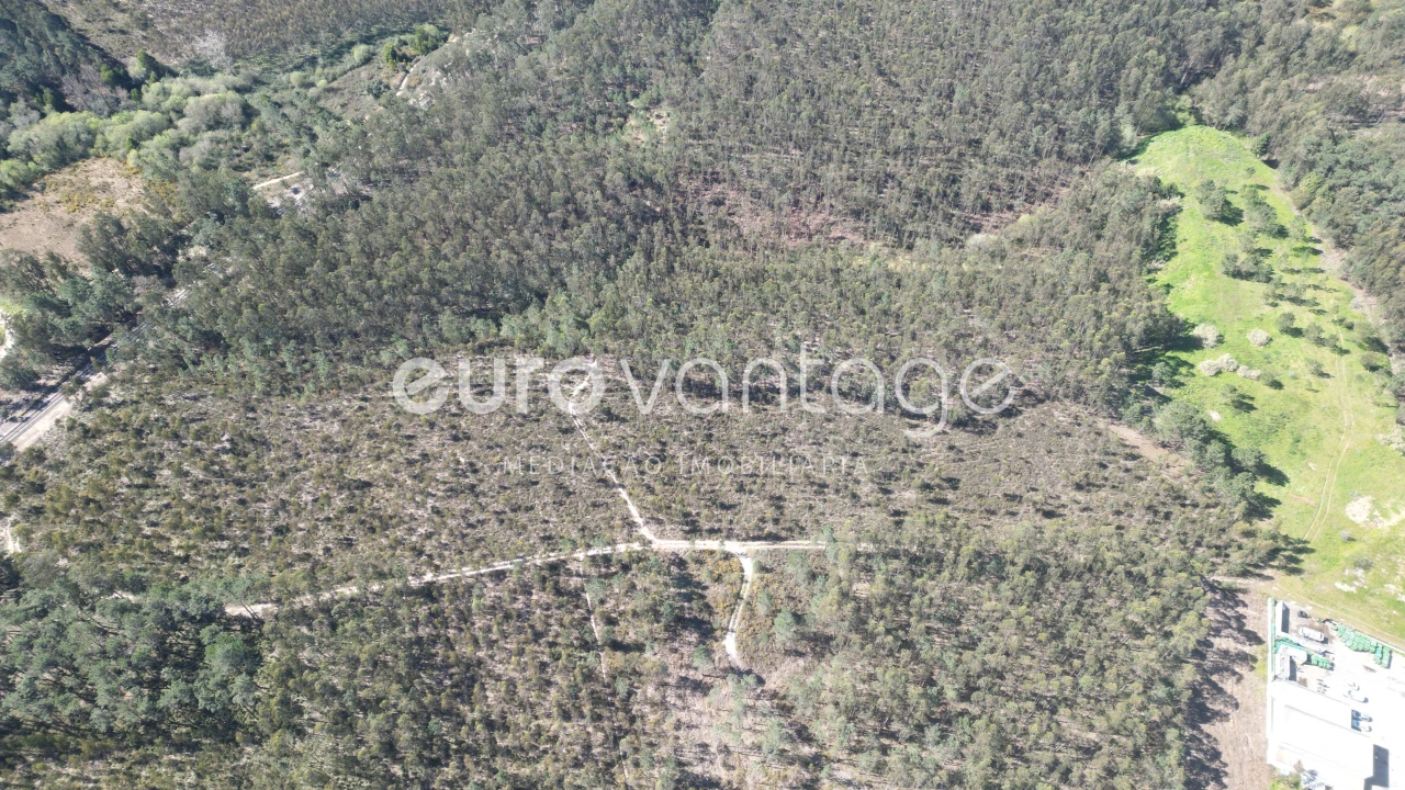 Terreno para Venda em Marrazes e Barosa Foto 5