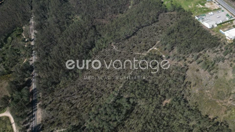 Terreno para Venda em Marrazes e Barosa