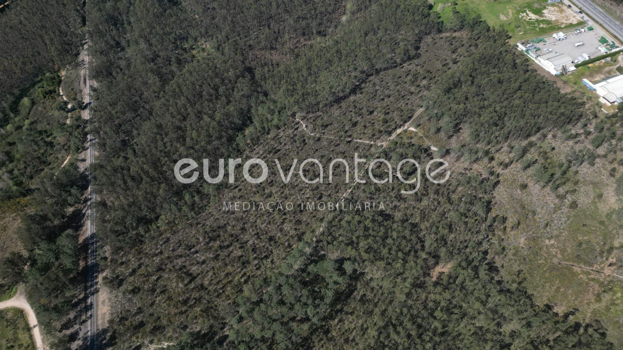 Terreno para Venda em Marrazes e Barosa Foto 10