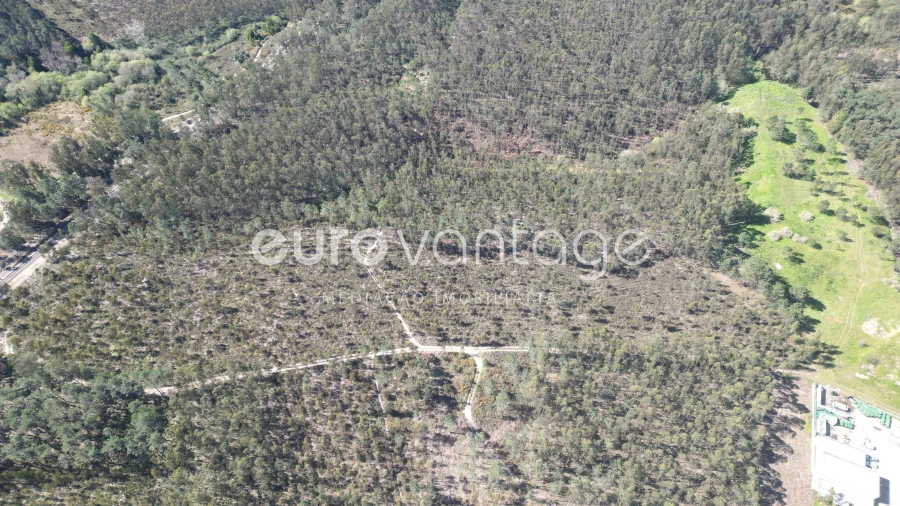 Terreno para Venda em Marrazes e Barosa Foto 5