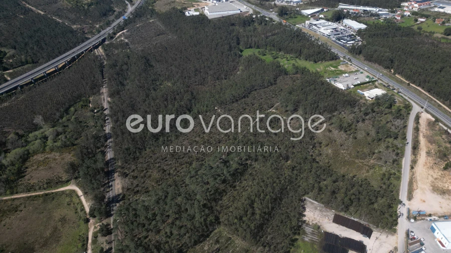 Terreno para Venda em Marrazes e Barosa Foto 9
