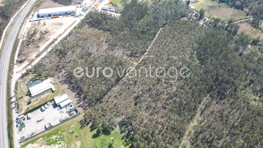 Terreno para Venda em Marrazes e Barosa Foto 4