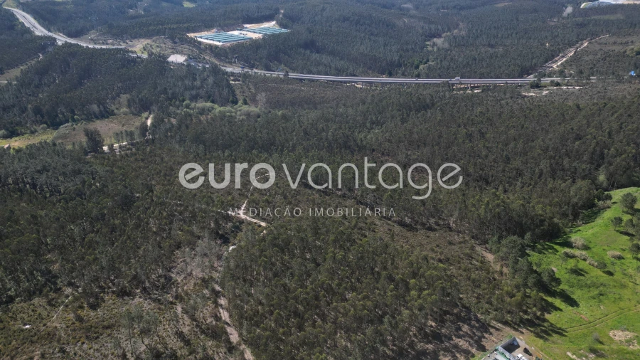 Terreno para Venda em Marrazes e Barosa Foto 12