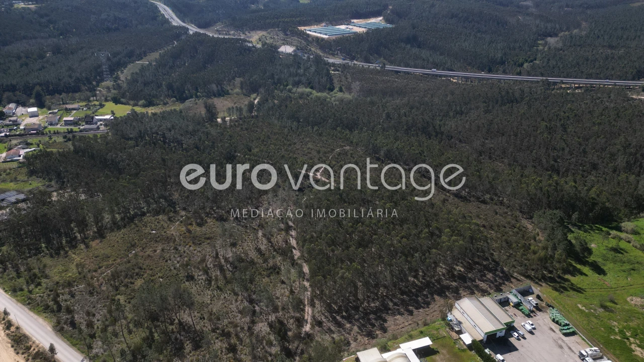 Terreno para Venda em Marrazes e Barosa Foto 13