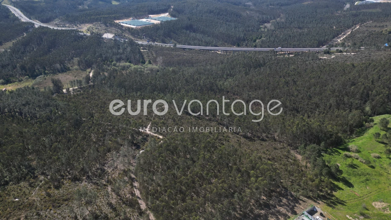 Terreno para Venda em Marrazes e Barosa Foto 12