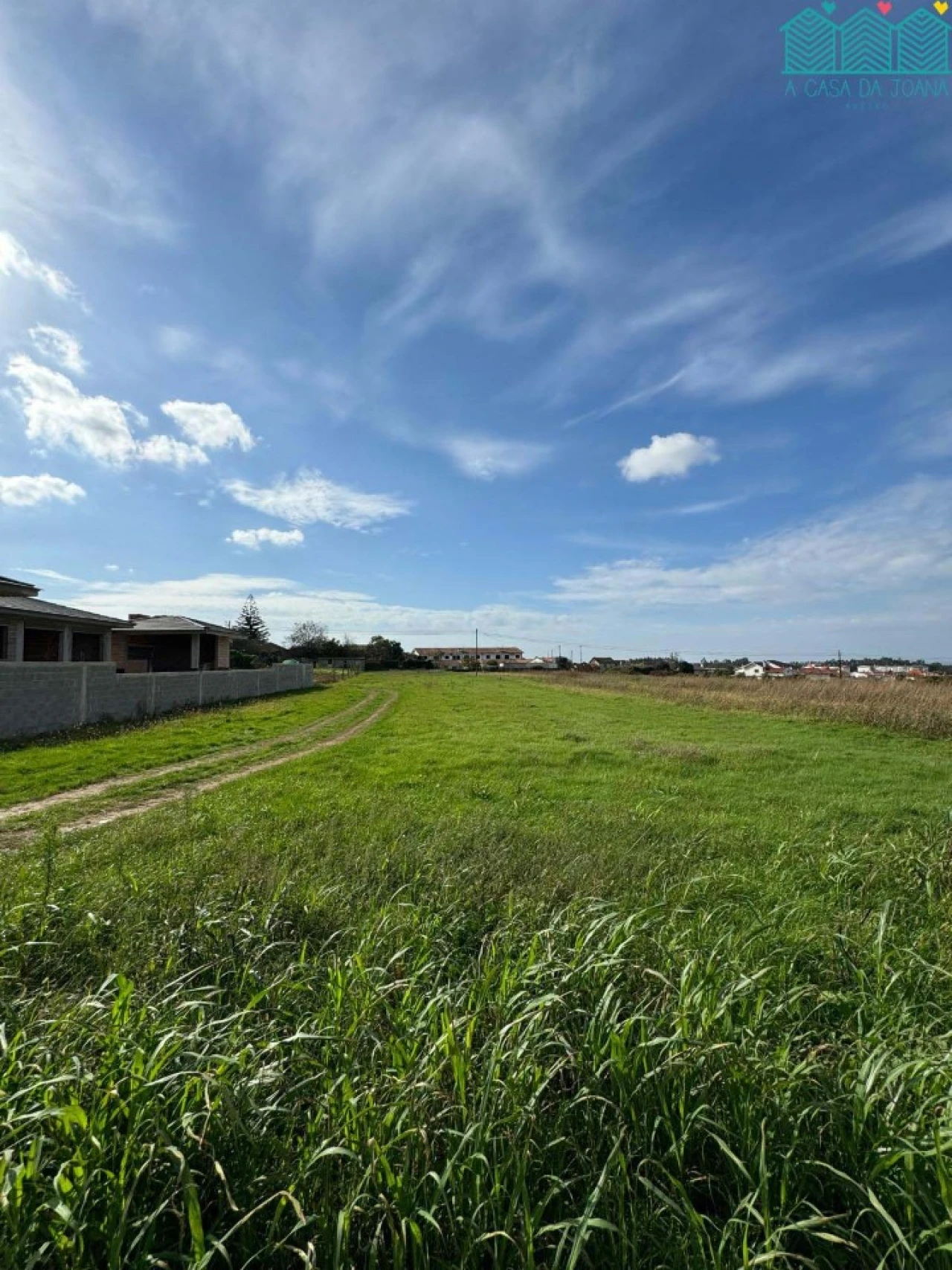 Terreno para Venda em Branca Foto 2