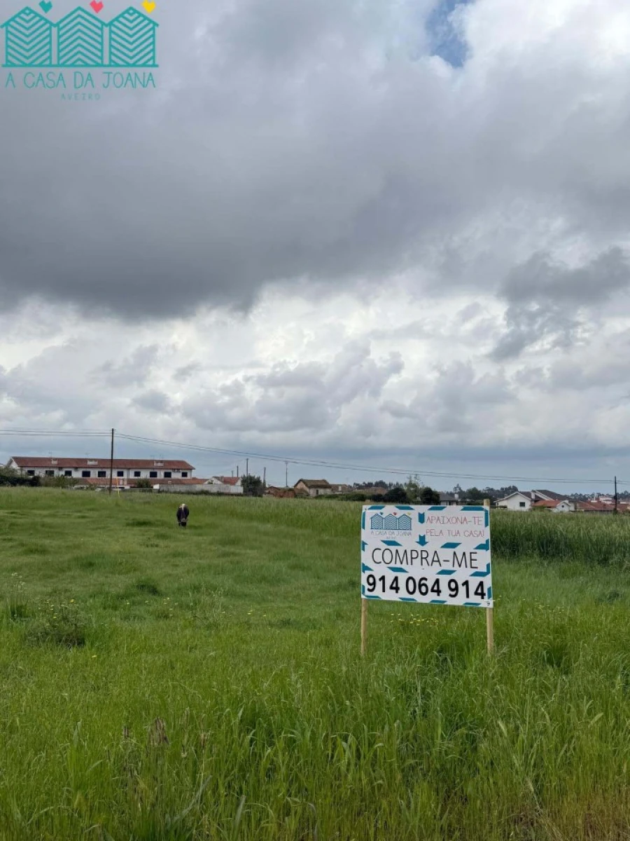 Terreno para Venda em Branca Foto 1