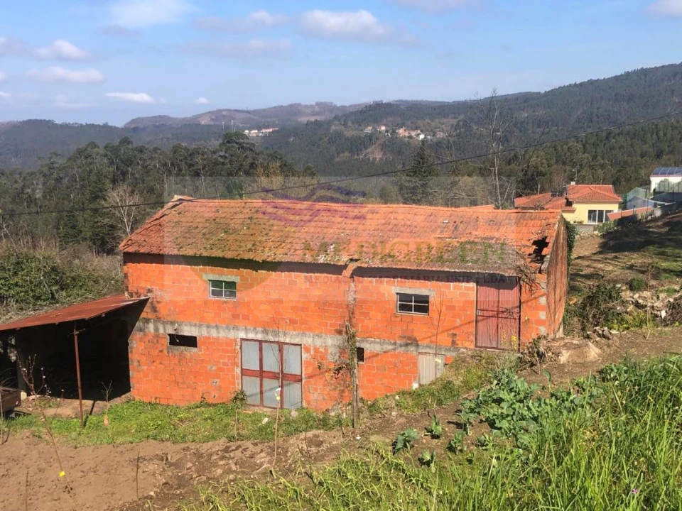 Armazém para Venda em Silva Escura e Dornelas Foto 4
