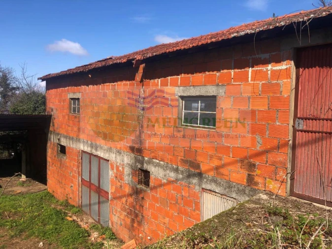 Armazém para Venda em Silva Escura e Dornelas Foto 3