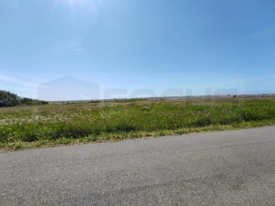 Terreno para Venda em Gafanha da Encarnação Foto 5