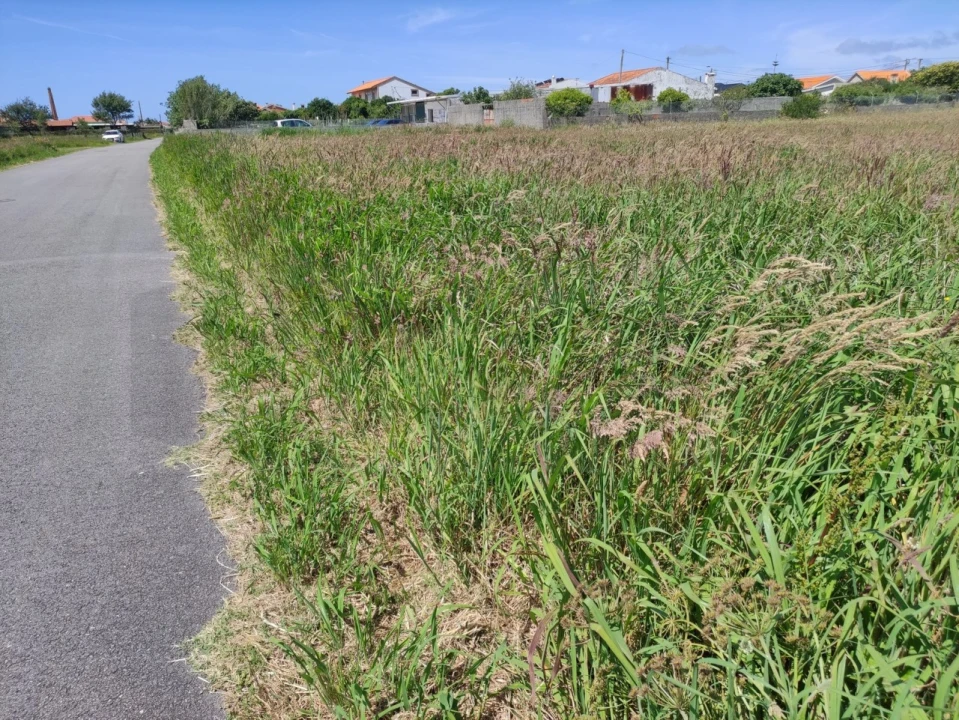 Terreno para Venda em Gafanha da Encarnação Foto 11