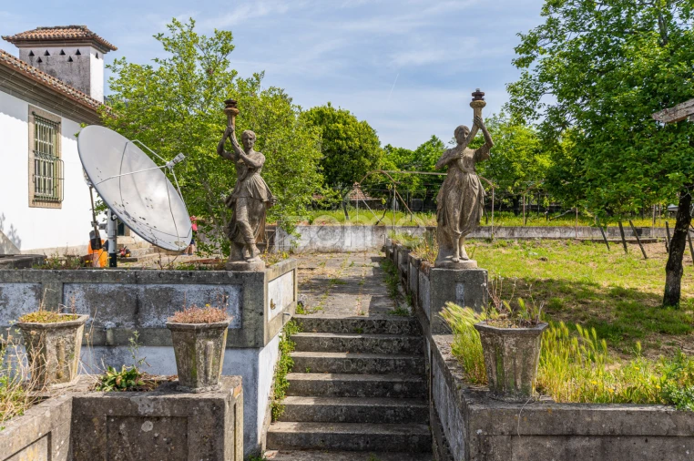 Quinta T6 para Venda em Mesão Frio (Santo André) Foto 3