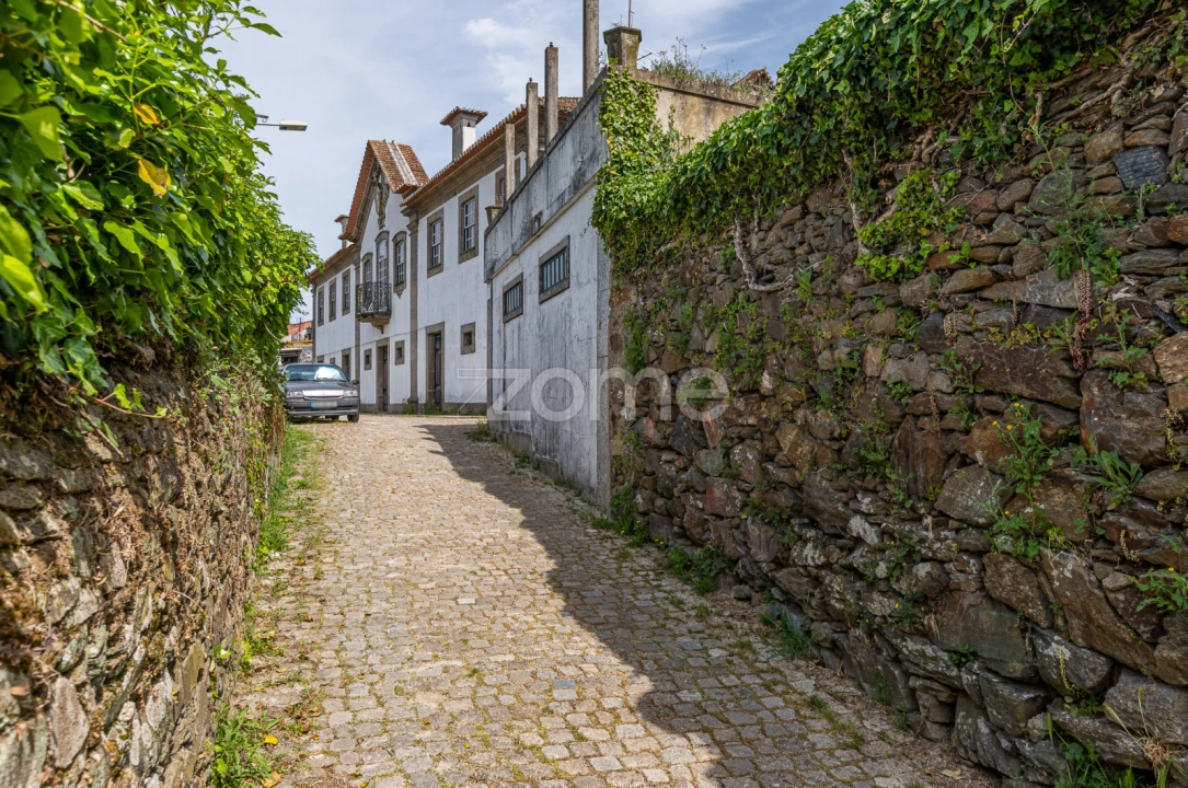 Quinta T6 para Venda em Mesão Frio (Santo André) Foto 7