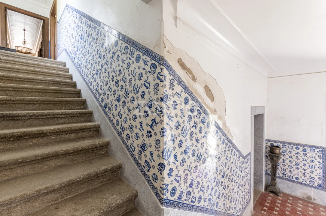 Quinta T6 para Venda em Mesão Frio (Santo André) Foto 10