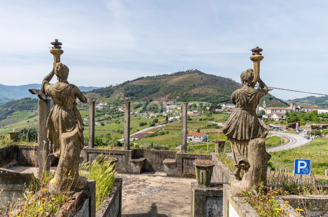 Quinta T6 para Venda em Mesão Frio (Santo André) Foto 2