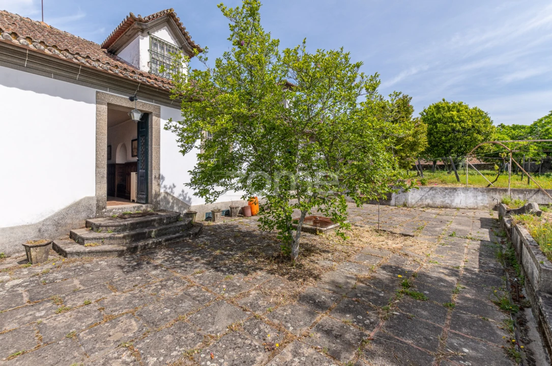 Quinta T6 para Venda em Mesão Frio (Santo André) Foto 4