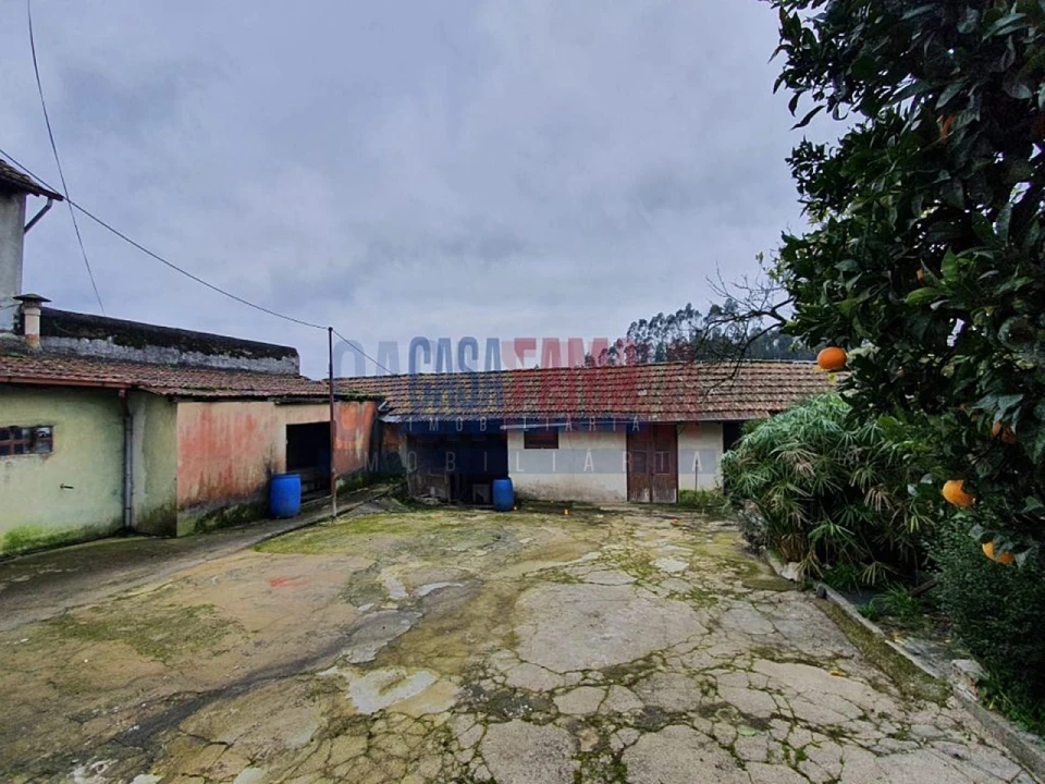 Quinta T5 para Venda em Bougado (São Martinho e Santiago) Foto 4