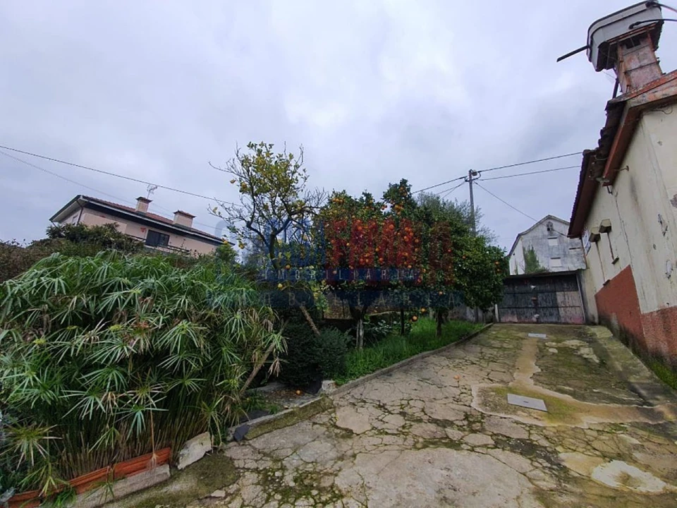 Quinta T5 para Venda em Bougado (São Martinho e Santiago) Foto 9