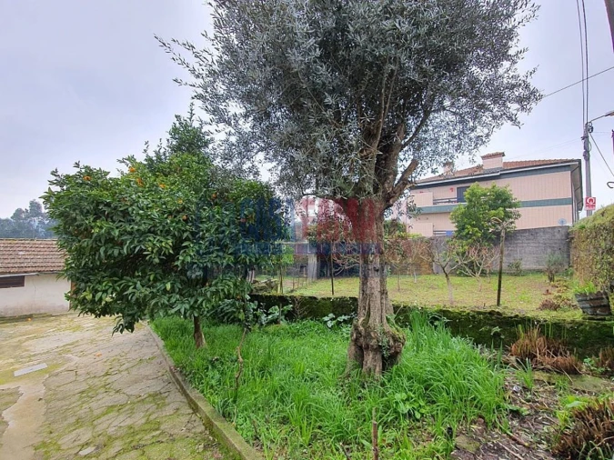 Quinta T5 para Venda em Bougado (São Martinho e Santiago) Foto 7