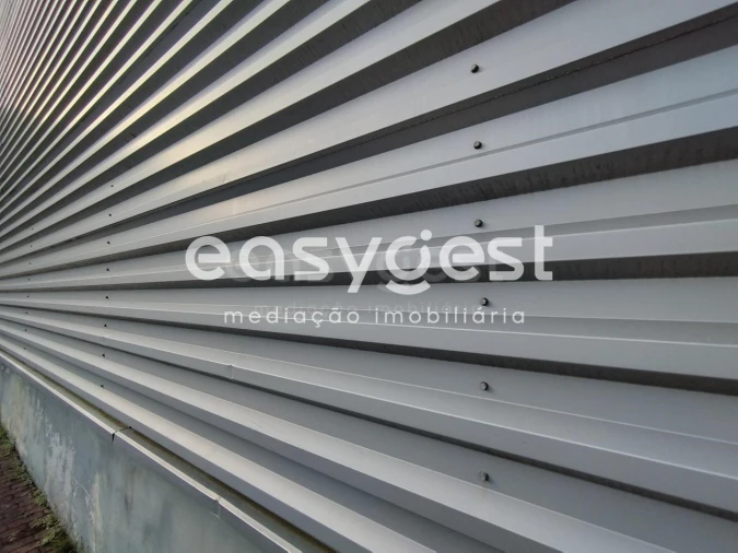 Armazém para Venda em Pico da Pedra Foto 11