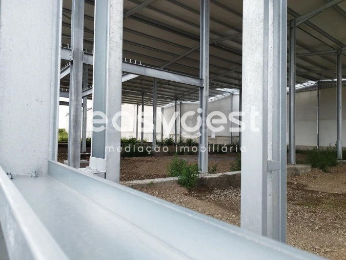 Armazém para Venda em Pico da Pedra Foto 13