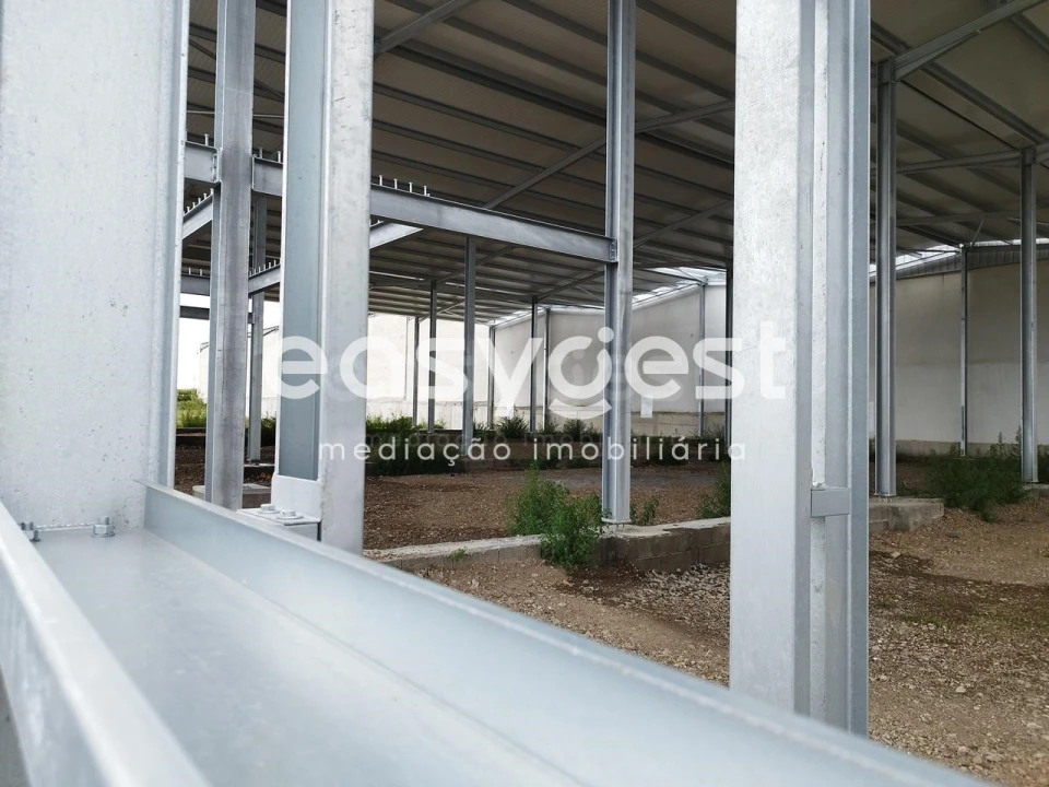 Armazém para Arrendamento em Pico da Pedra Foto 13