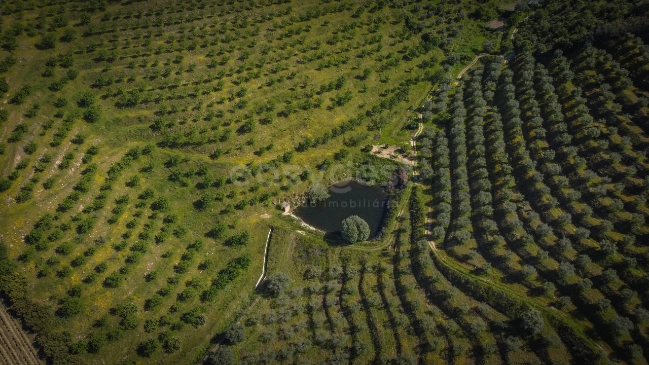 Terreno Agricola ou Rústico para Venda em Torre de Moncorvo Foto 2