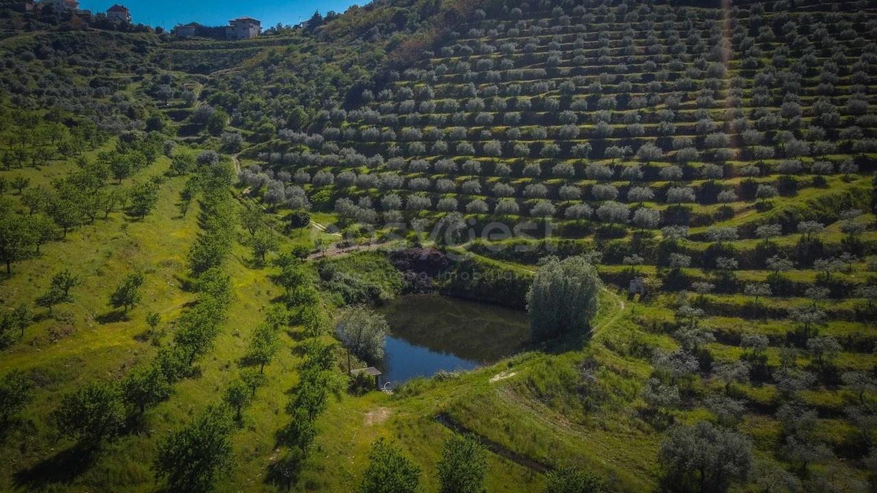Terreno Agricola ou Rústico para Venda em Torre de Moncorvo Foto 10