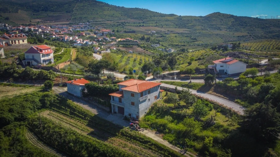 Terreno Agricola ou Rústico para Venda em Torre de Moncorvo Foto 12