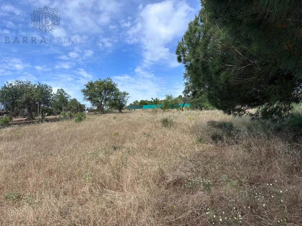 Terreno para Venda em Almancil Foto 5