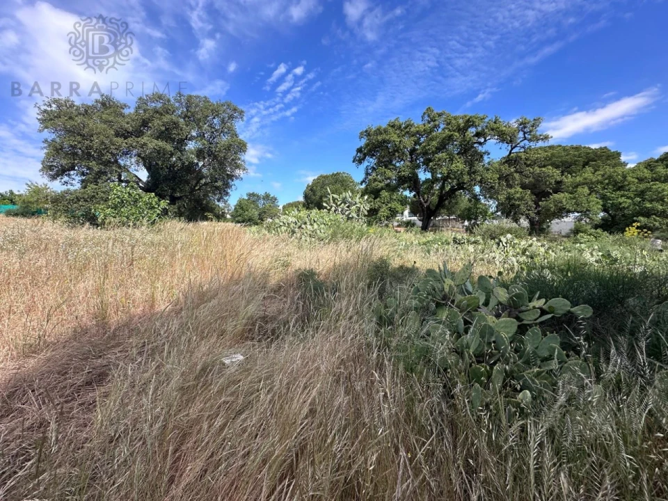 Terreno para Venda em Almancil Foto 6