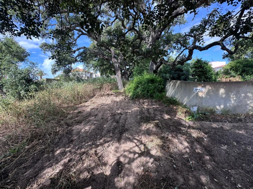 Terreno para Venda em Almancil Foto 7