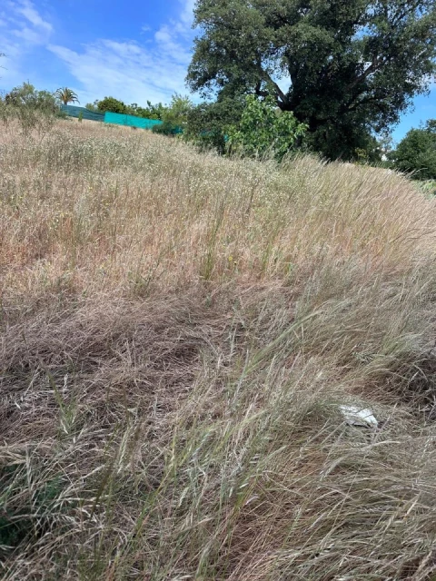 Terreno para Venda em Almancil