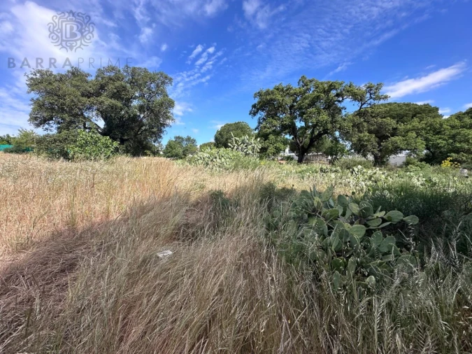 Terreno para Venda em Almancil Foto 6