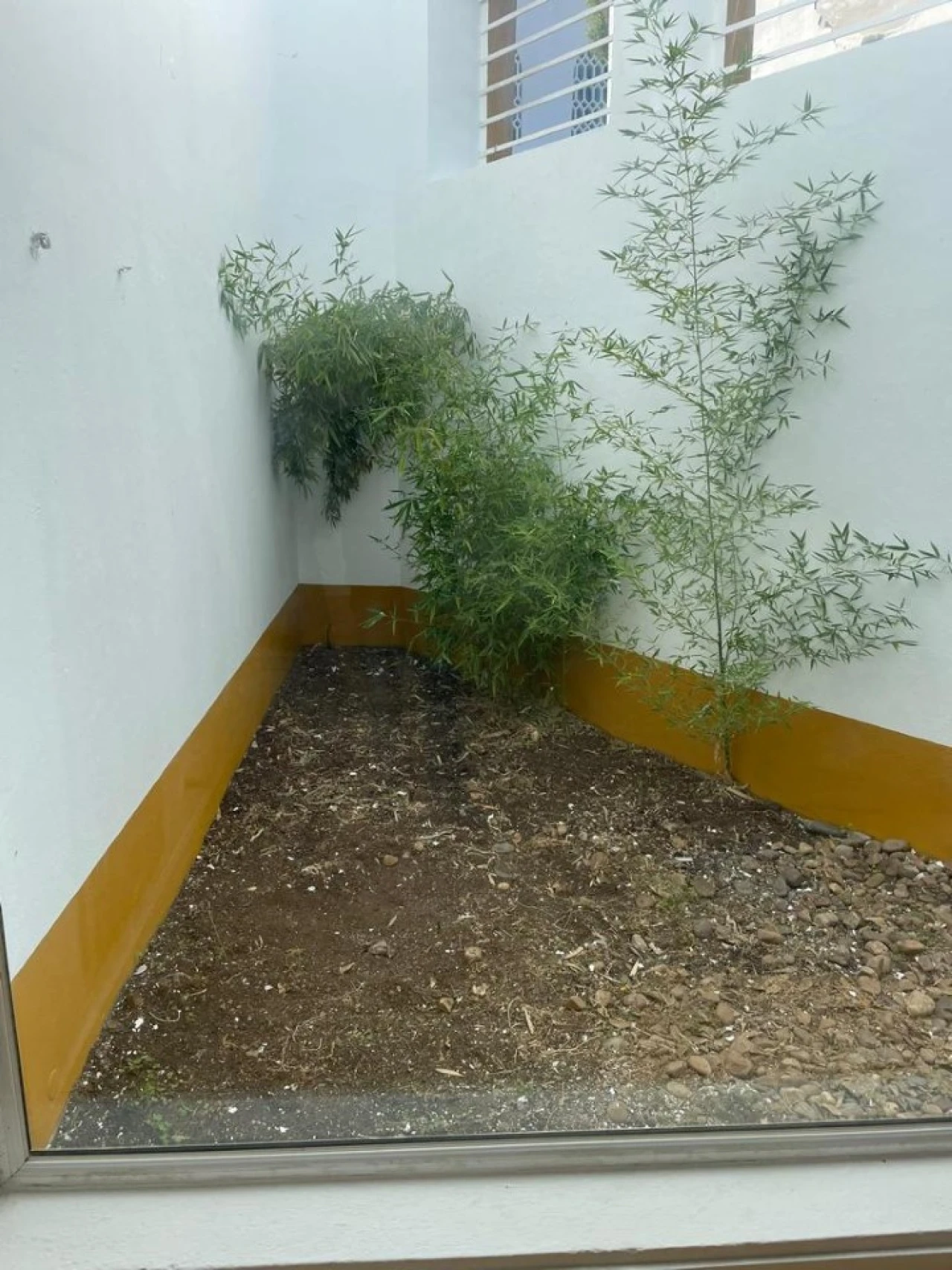 Moradia T2 para Venda em Nossa Senhora da Vila, Nossa Senhora do Bispo e Silveiras Foto 2