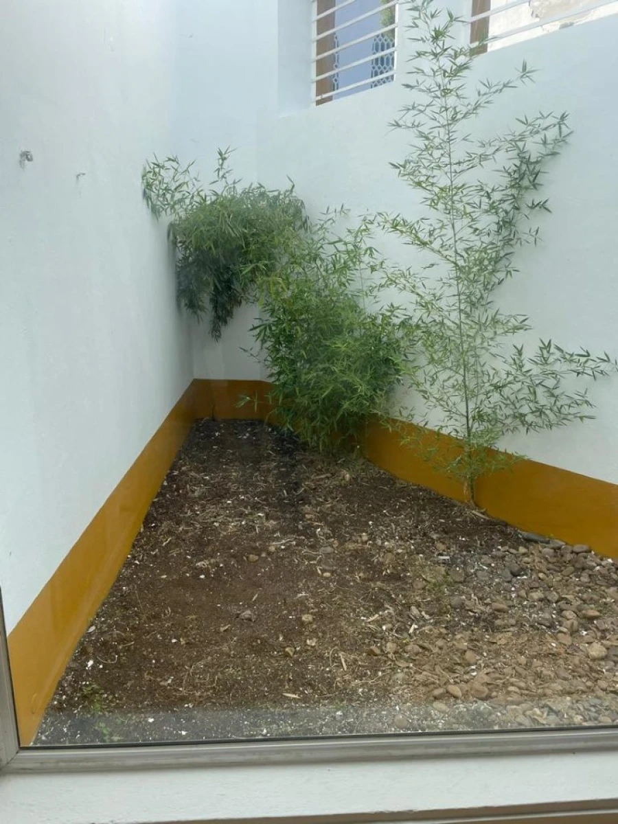 Moradia T2 para Venda em Nossa Senhora da Vila, Nossa Senhora do Bispo e Silveiras Foto 2