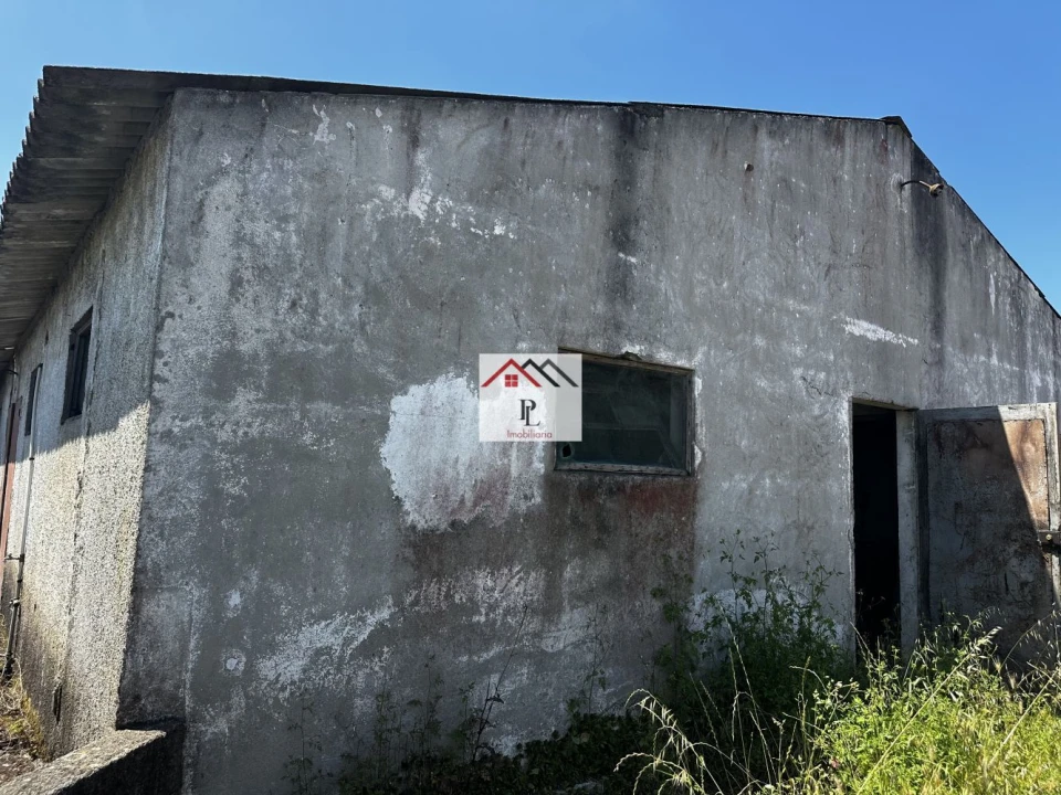 Loja para Venda em Arazede Foto 15