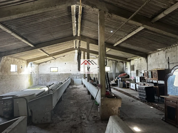 Loja para Venda em Arazede Foto 4